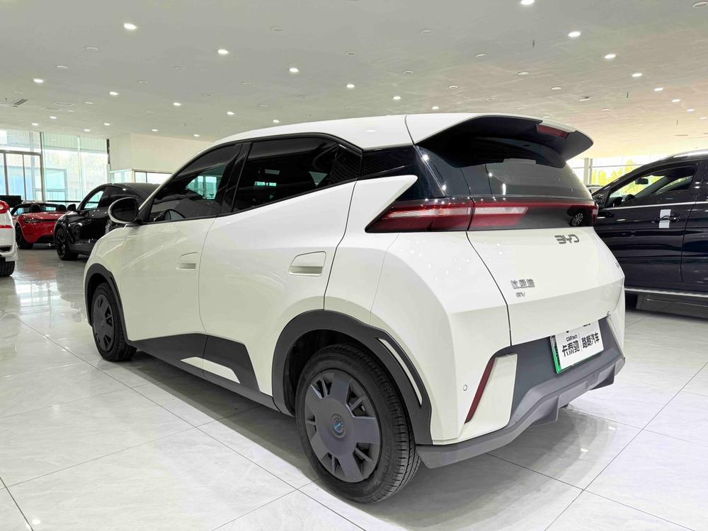 BYD Seagull