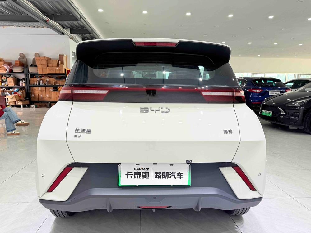 BYD Seagull