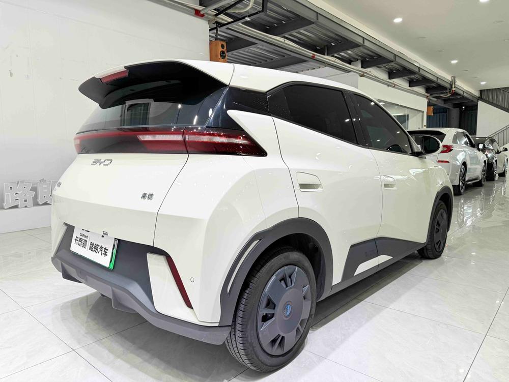 BYD Seagull