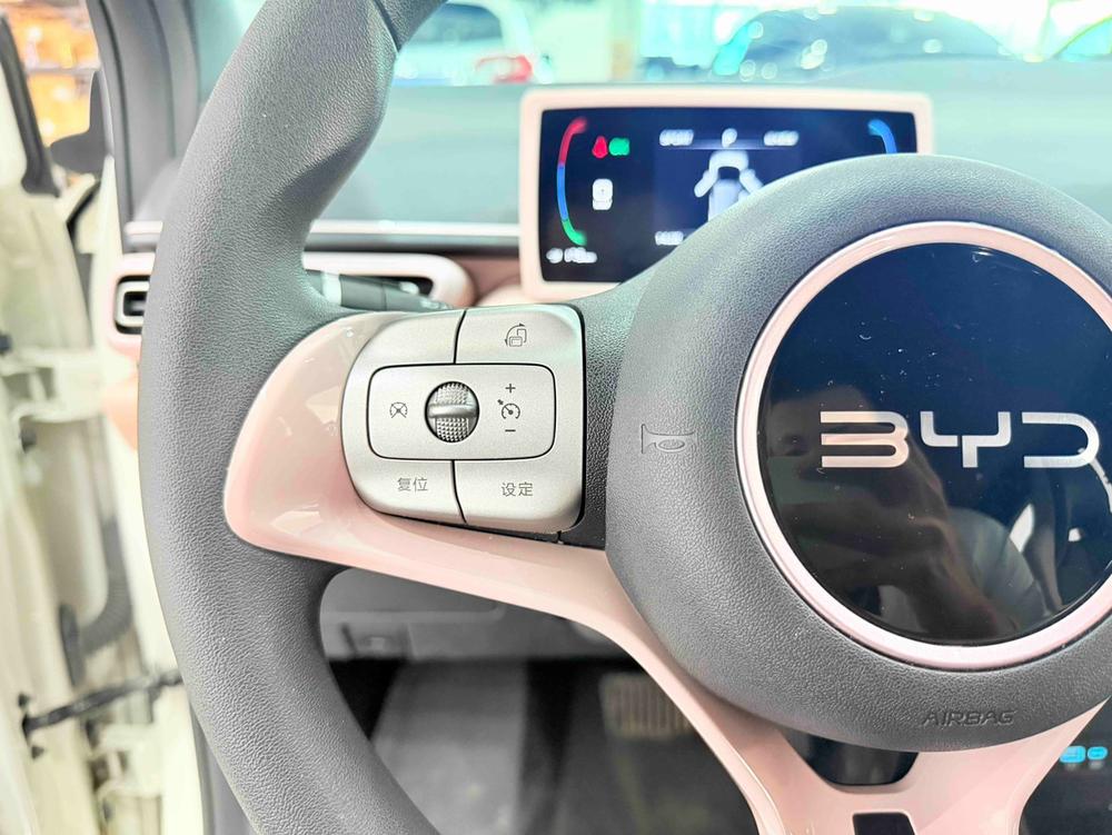 BYD Seagull