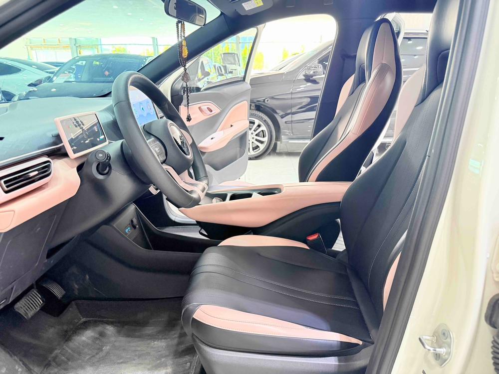 BYD Seagull