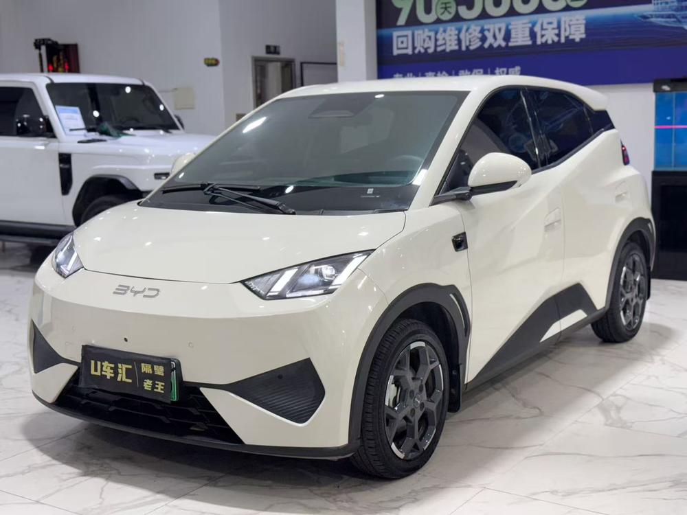 BYD Seagull