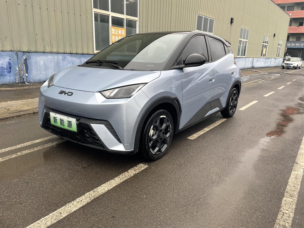 BYD Seagull