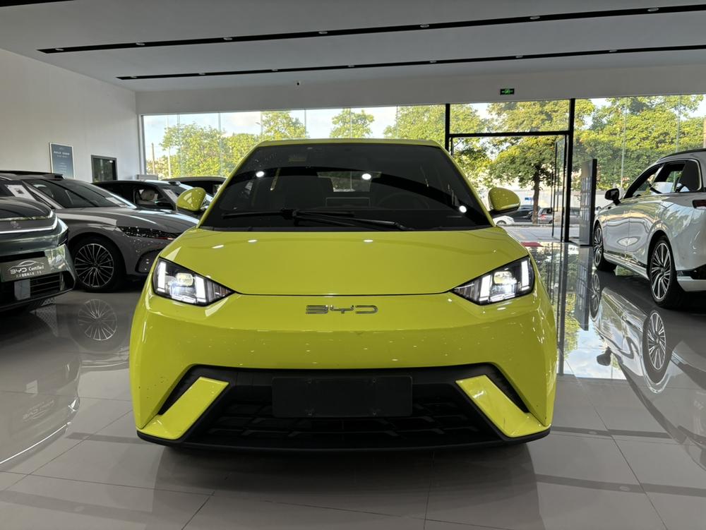 BYD Seagull