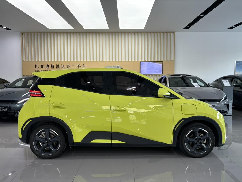 BYD Seagull