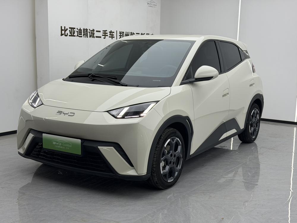 BYD Seagull