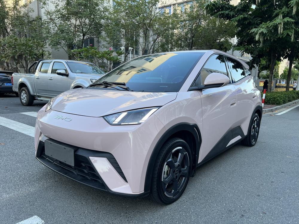 BYD Seagull
