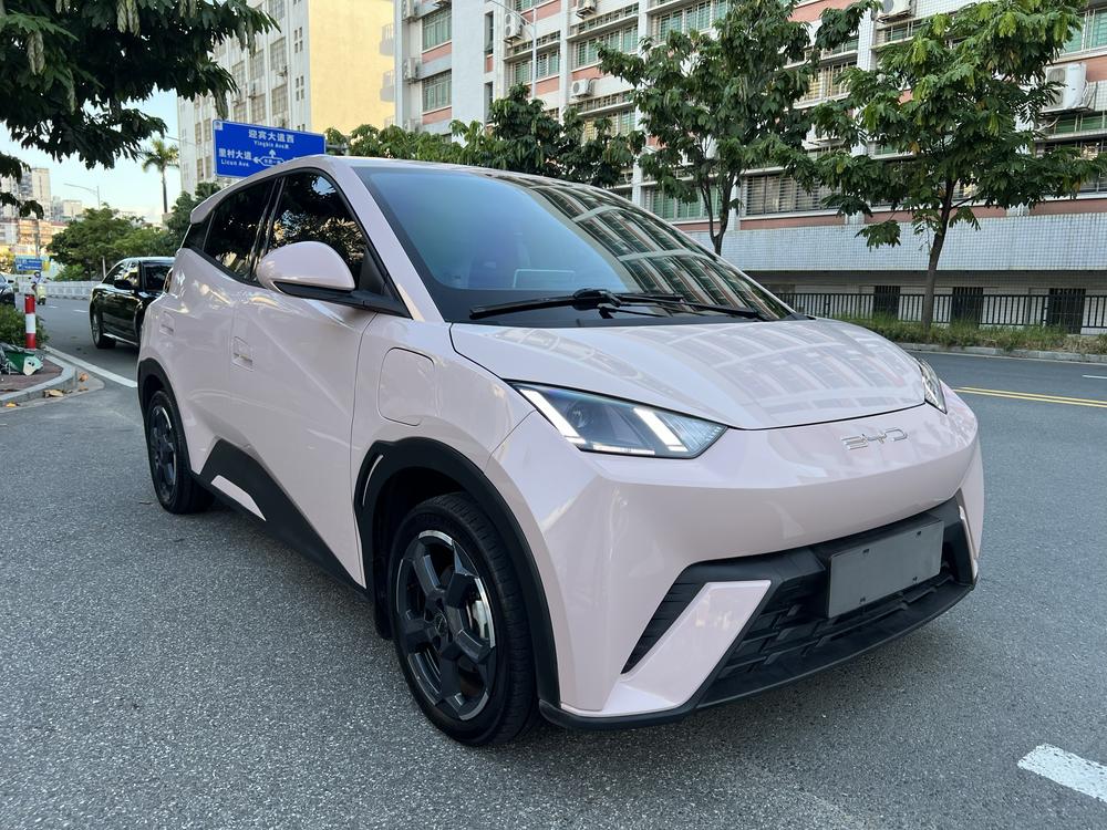 BYD Seagull