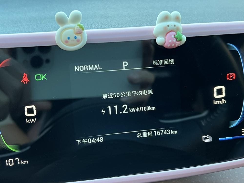 BYD Seagull