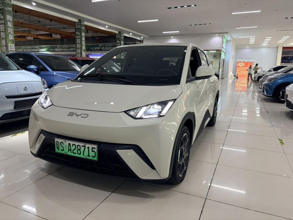 BYD Seagull