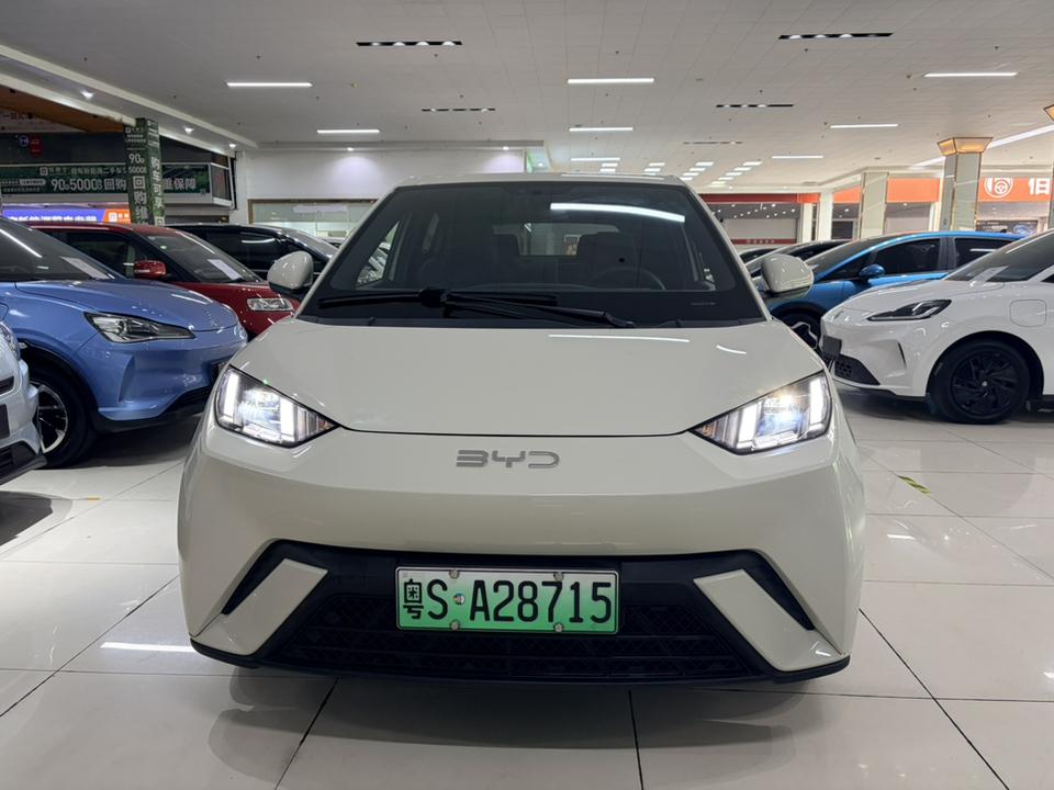BYD Seagull