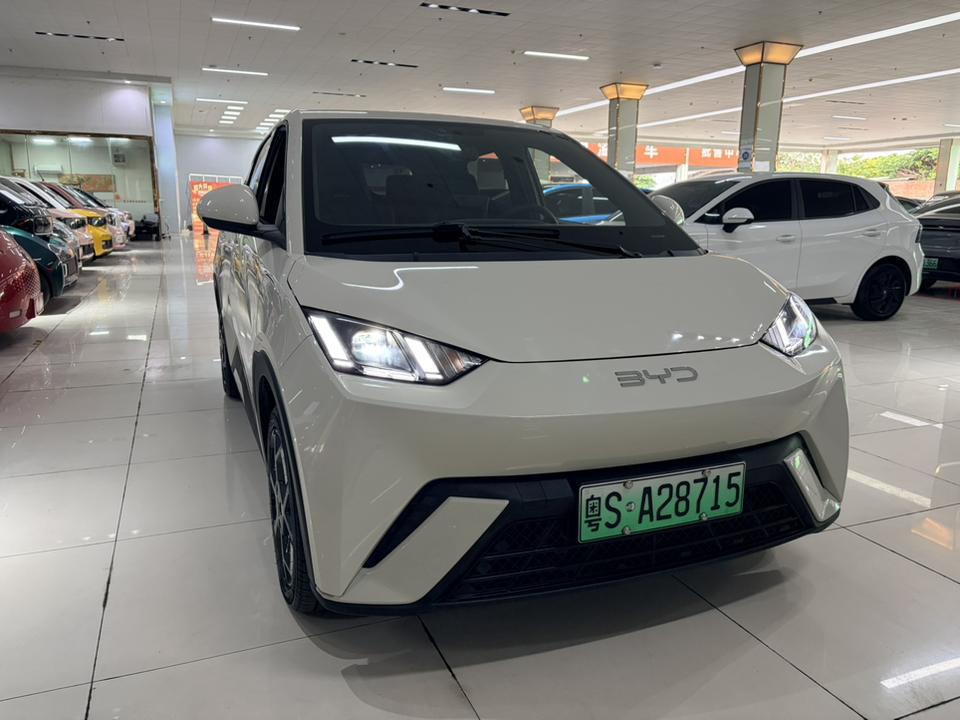 BYD Seagull