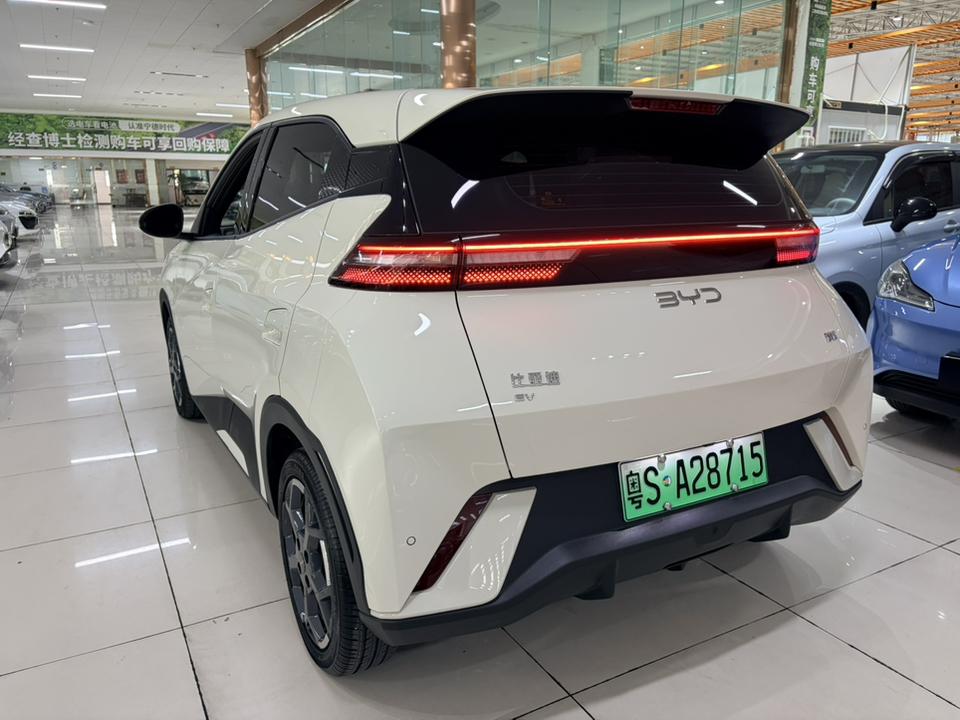 BYD Seagull