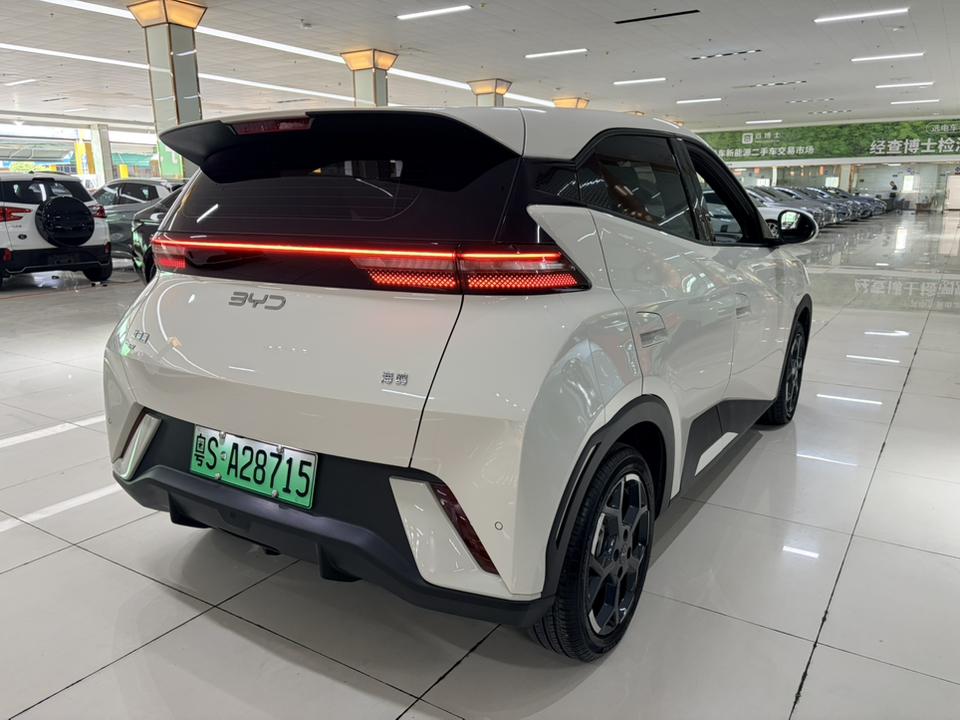 BYD Seagull