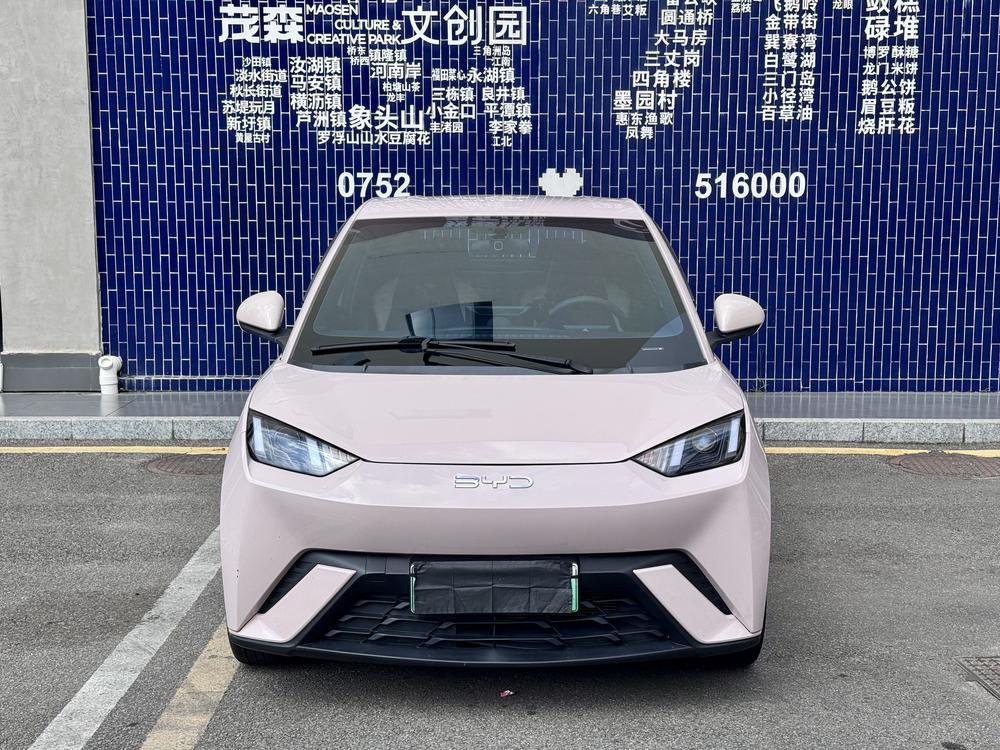 BYD Seagull