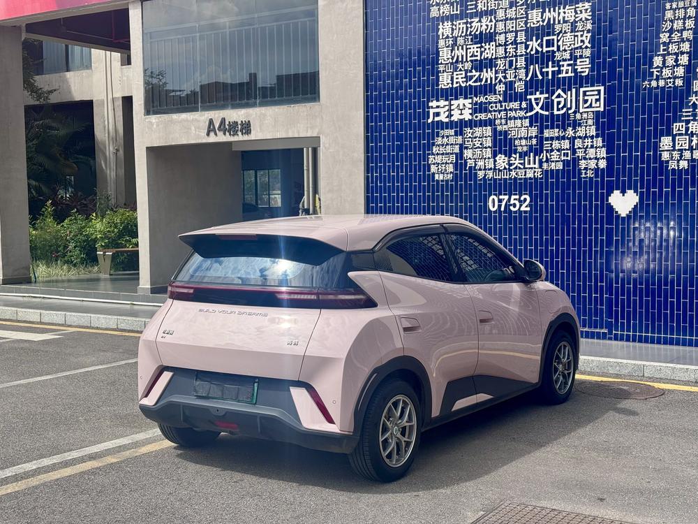 BYD Seagull
