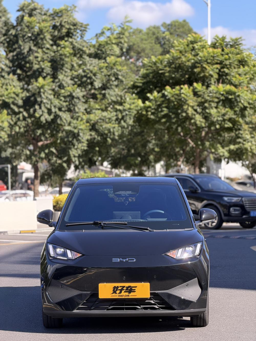 BYD Seagull