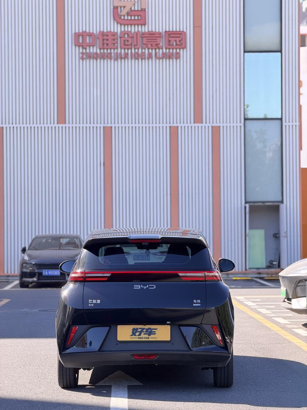 BYD Seagull