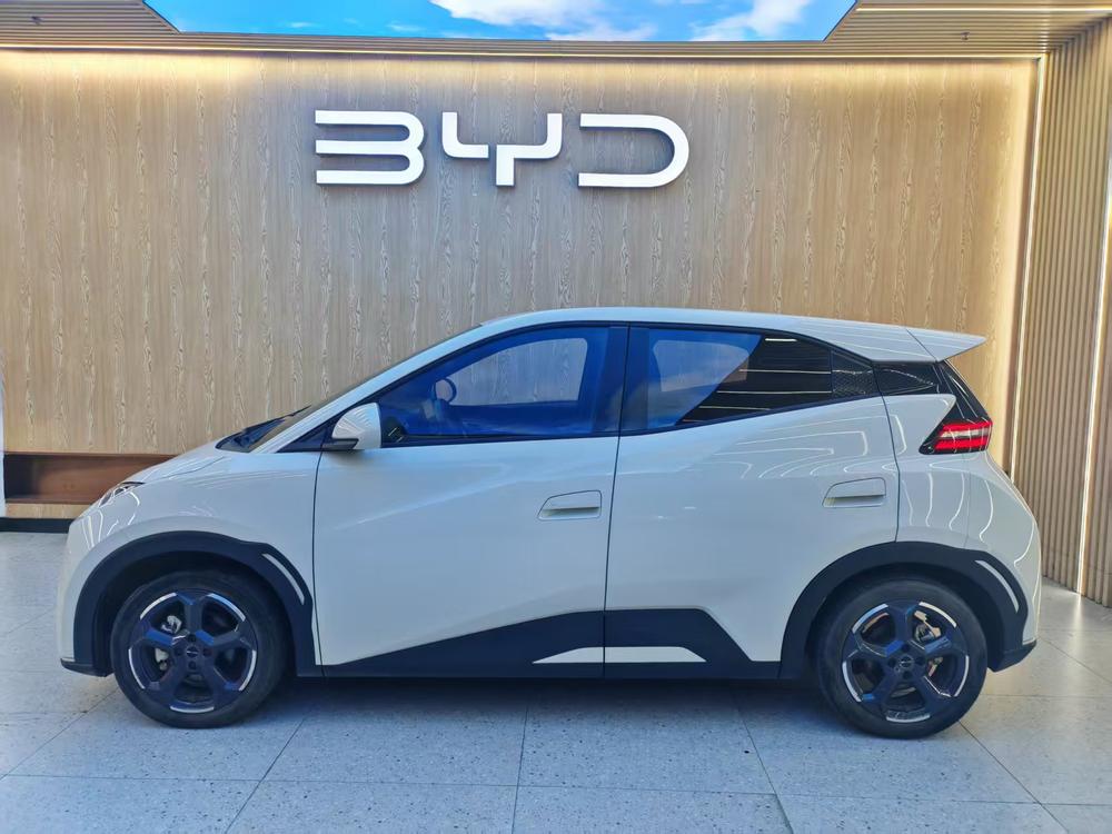 BYD Seagull