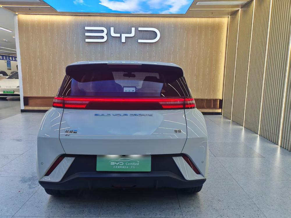 BYD Seagull