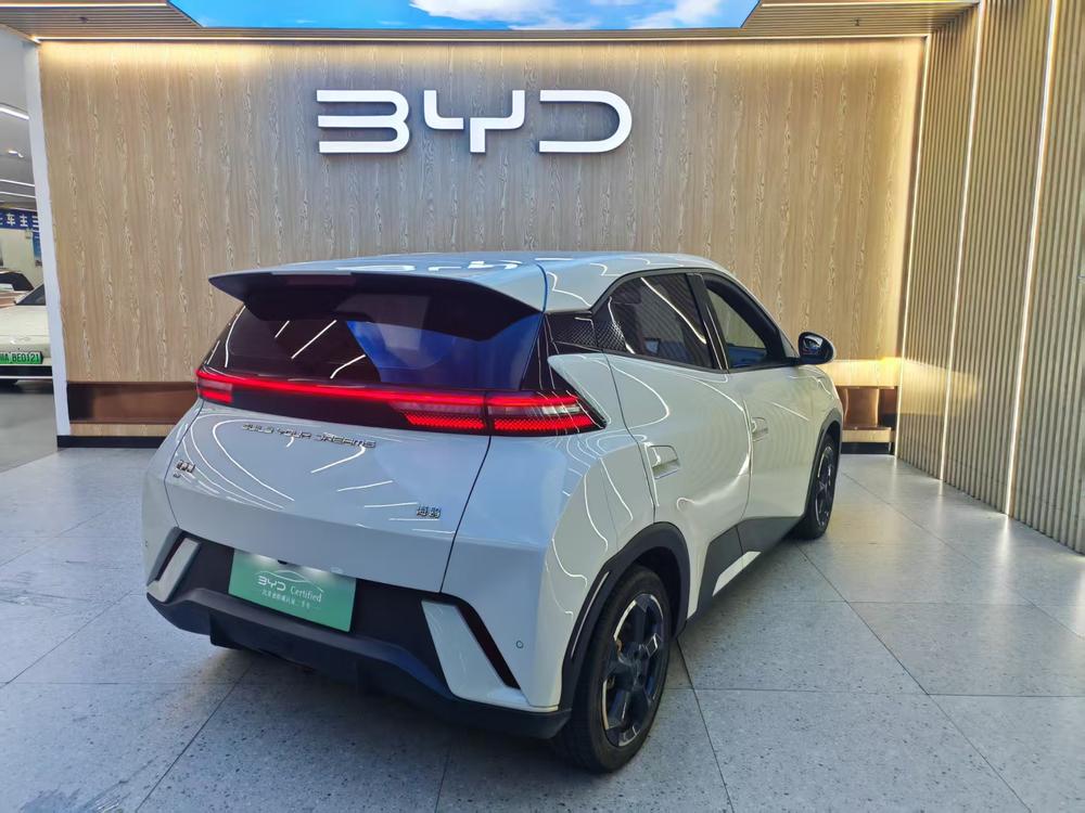 BYD Seagull