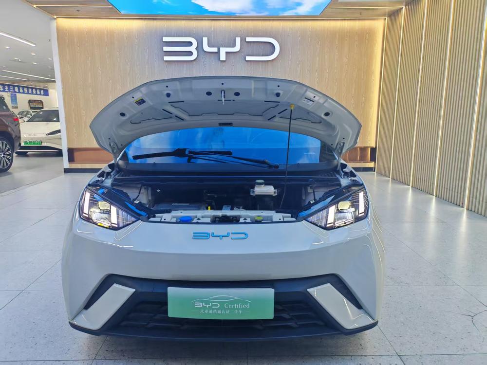 BYD Seagull