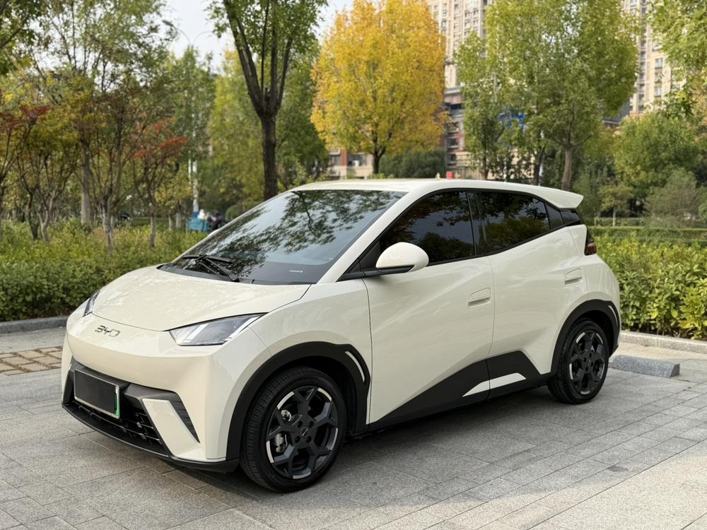 BYD Seagull