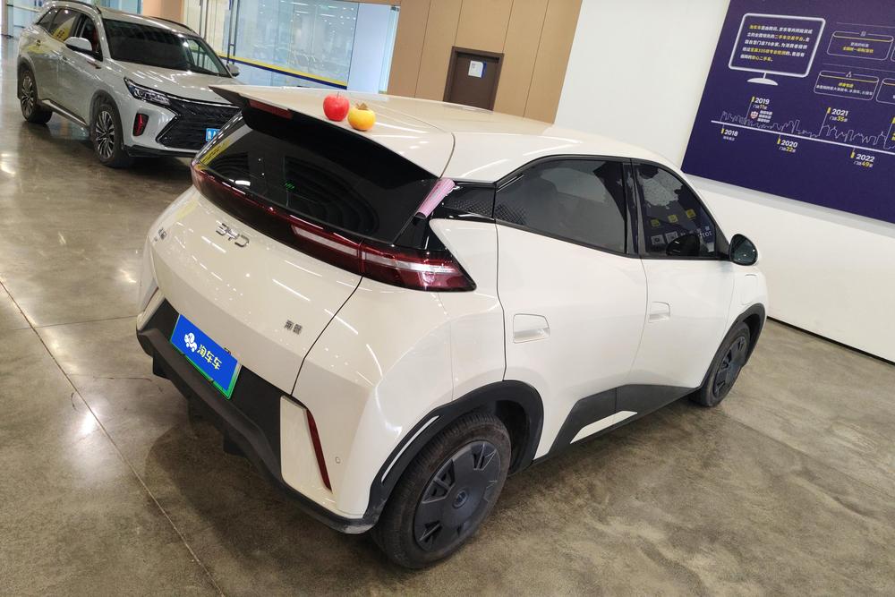 BYD Seagull