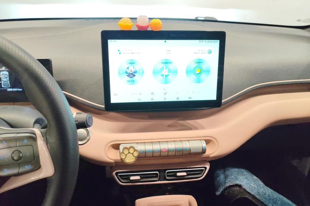 BYD Seagull