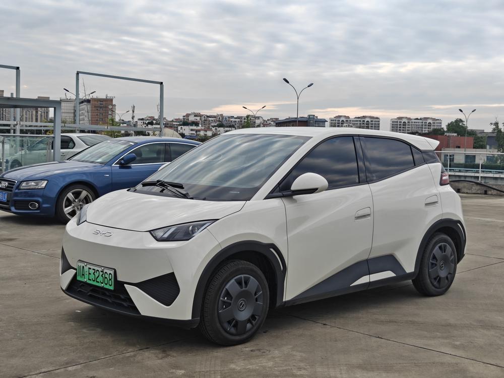 BYD Seagull