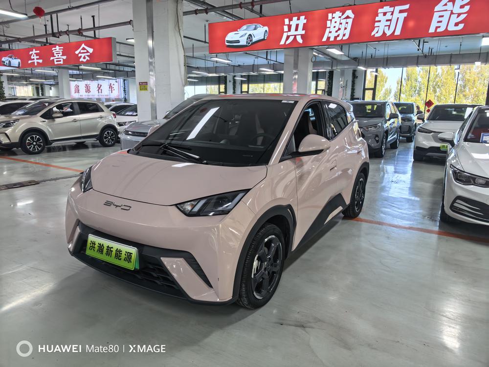 BYD Seagull
