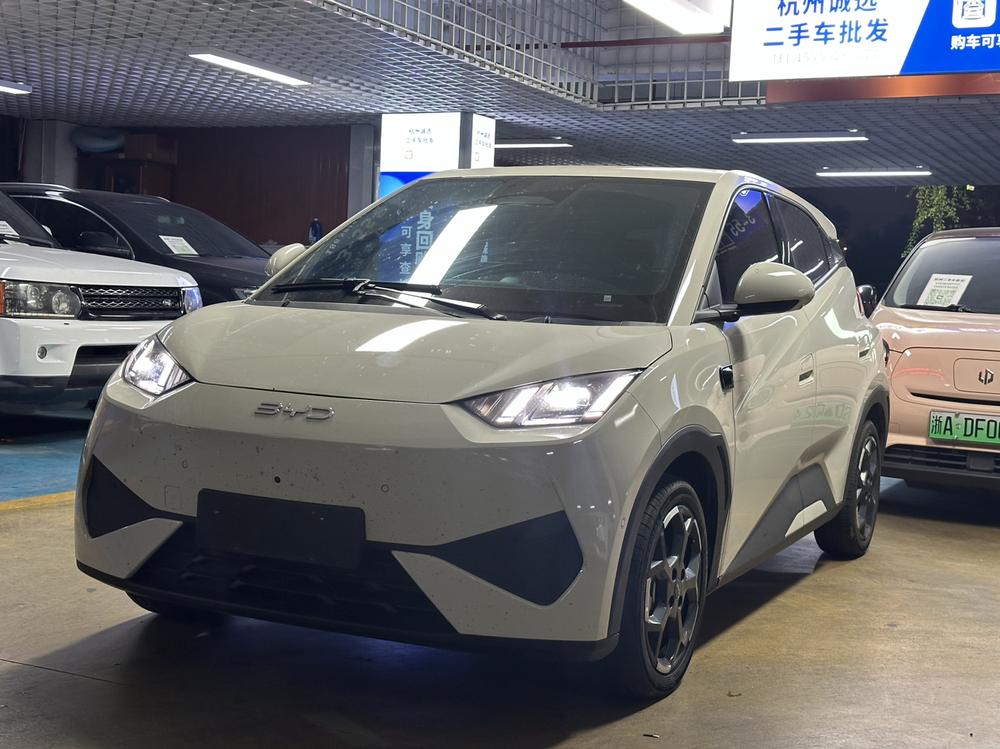 BYD Seagull