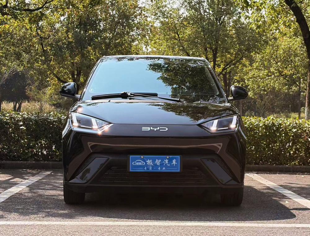 BYD Seagull