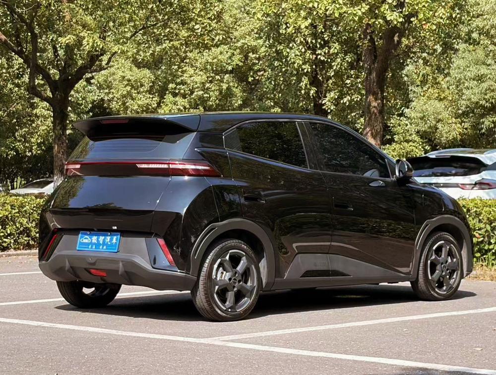BYD Seagull