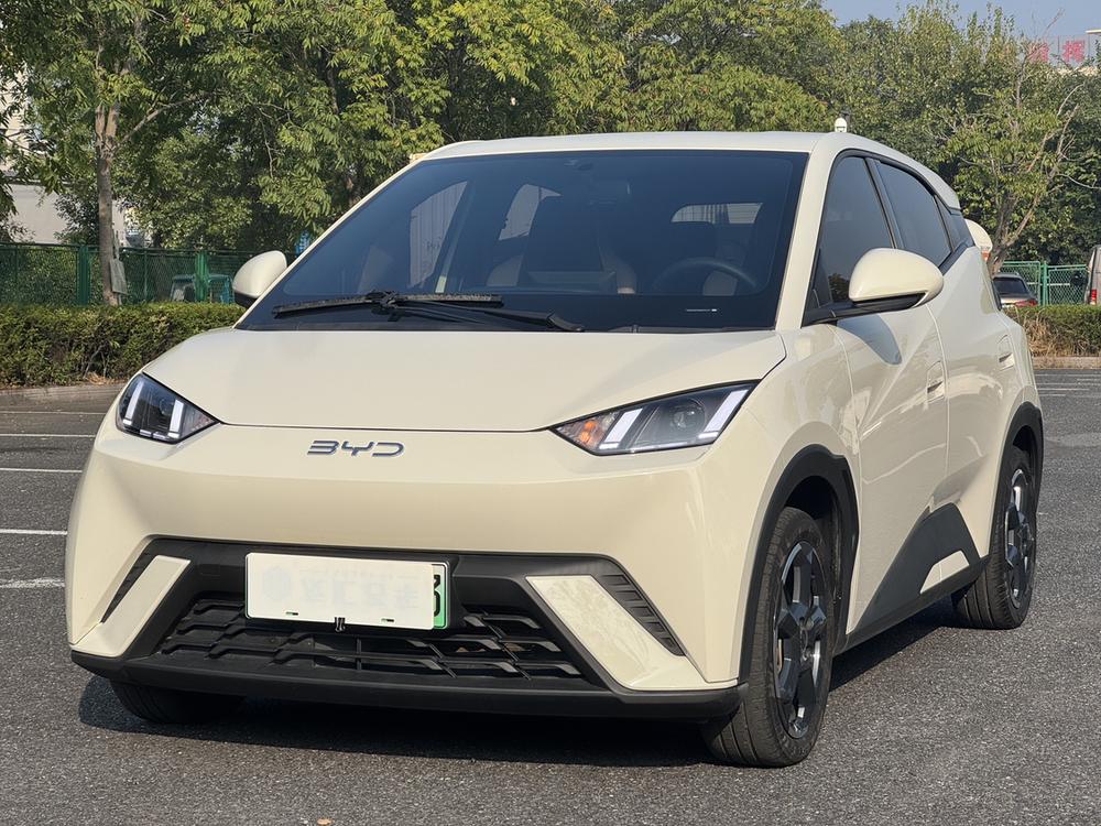 BYD Seagull