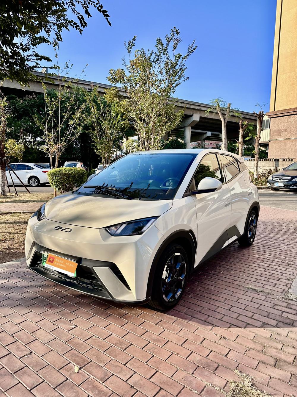 BYD Seagull