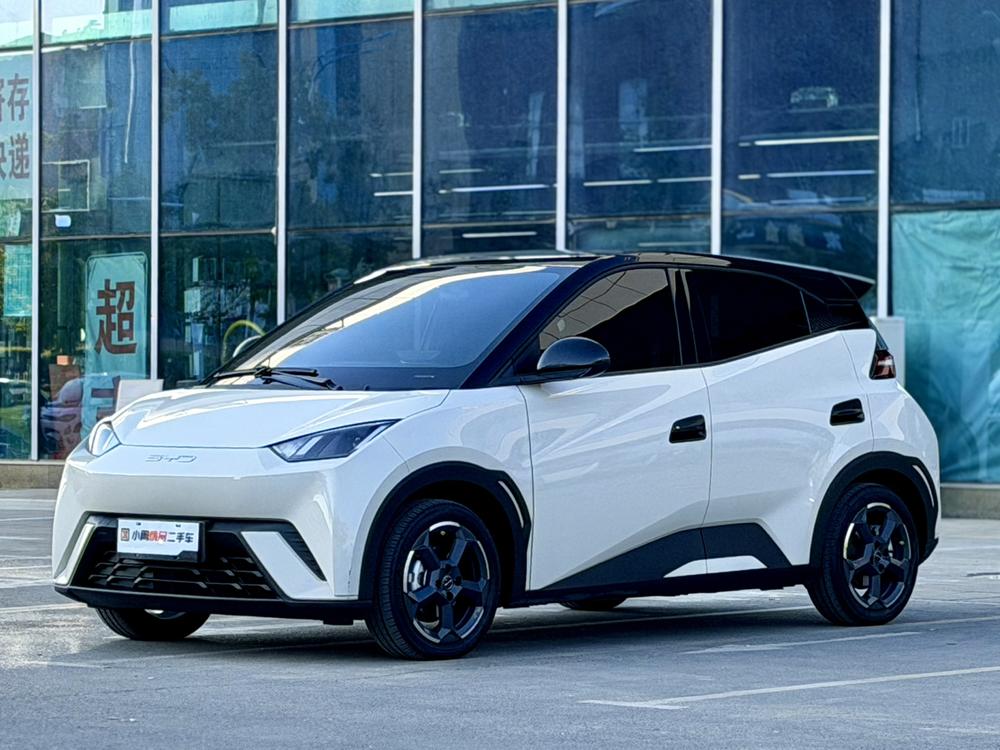 BYD Seagull