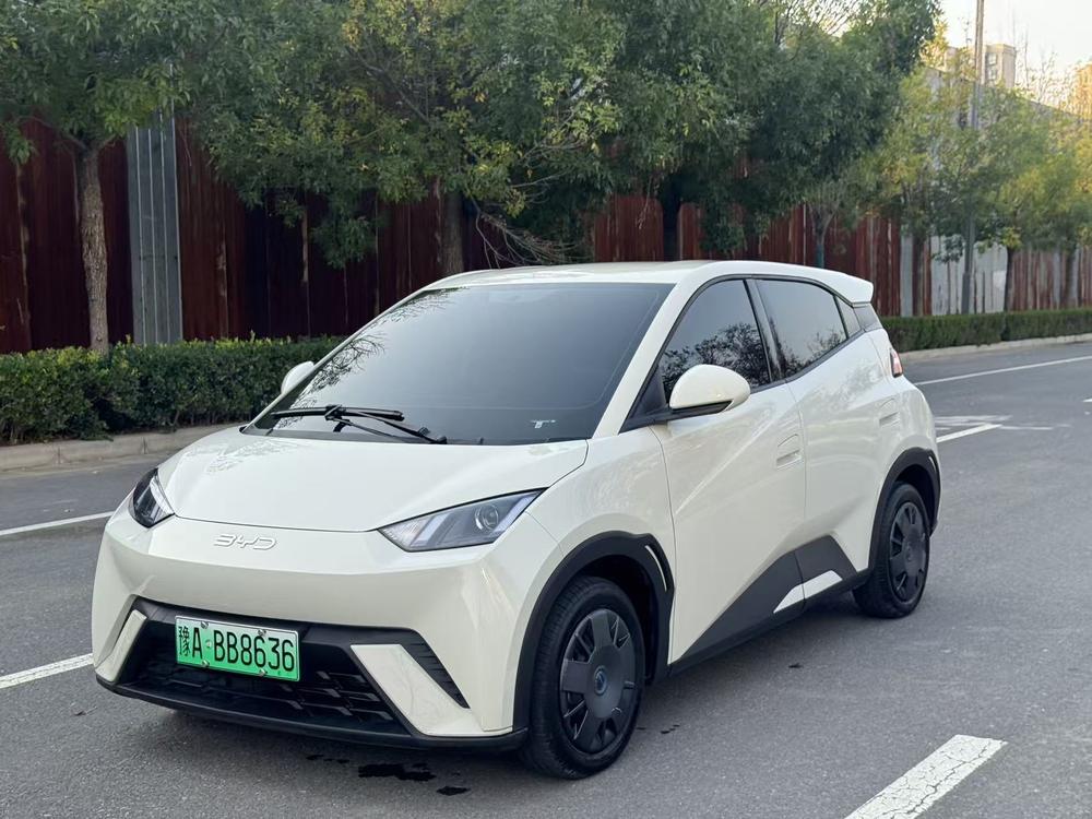 BYD Seagull