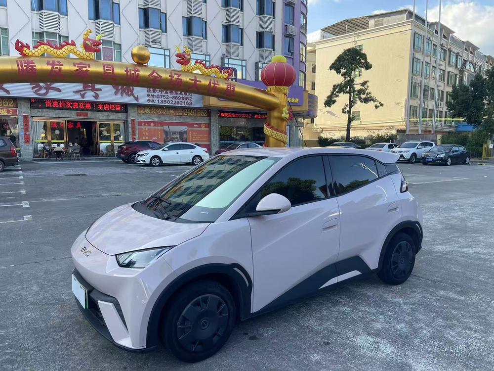 BYD Seagull