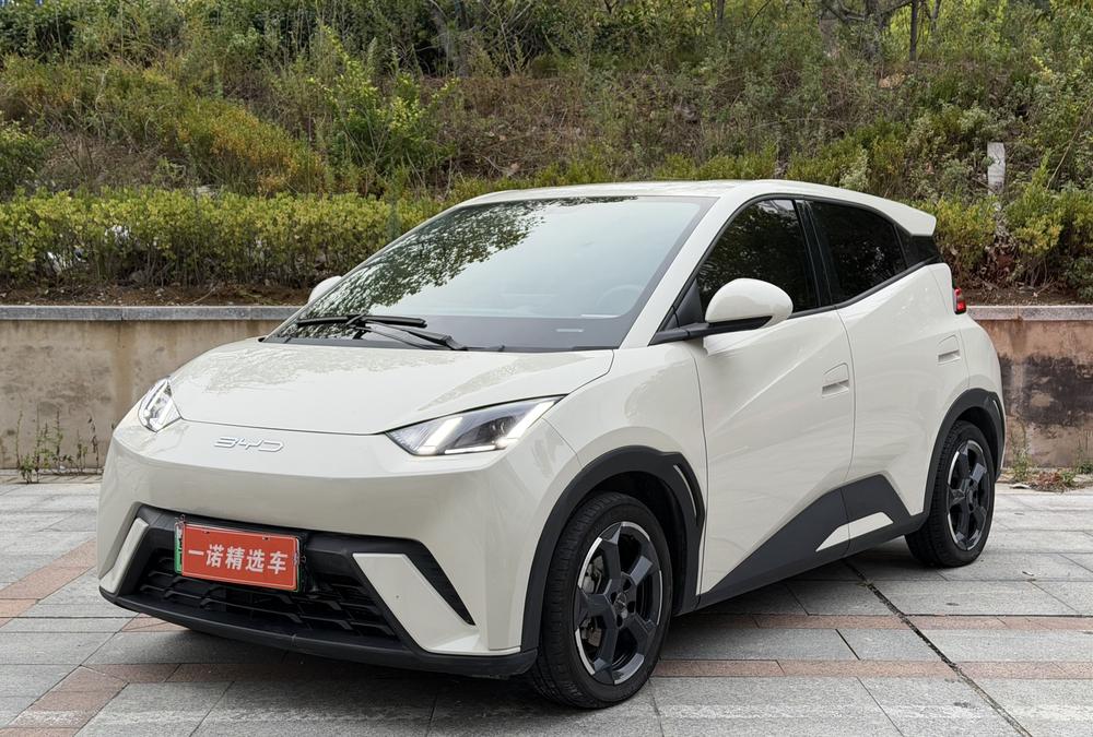 BYD Seagull
