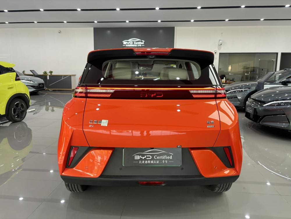 BYD Seagull
