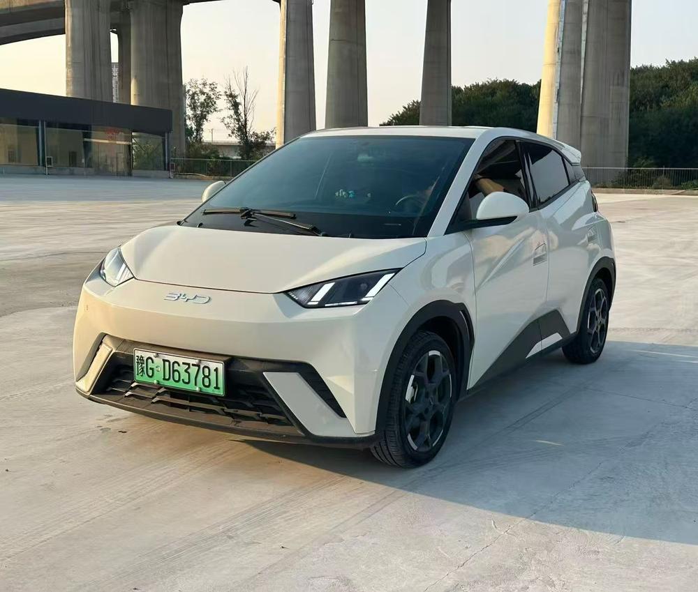 BYD Seagull