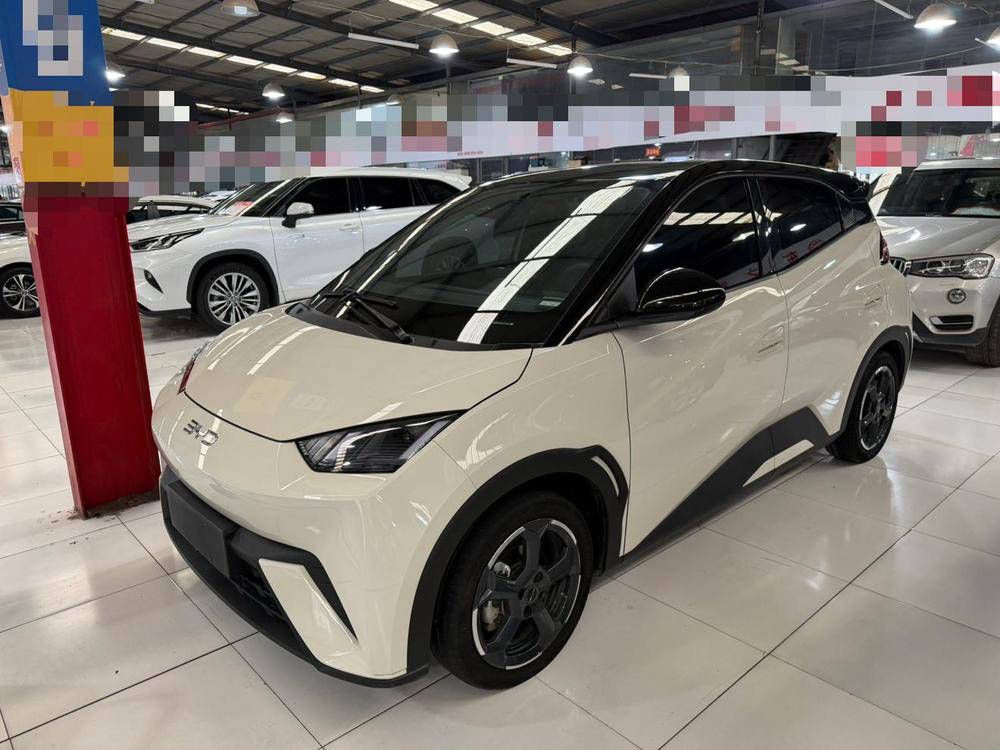 BYD Seagull