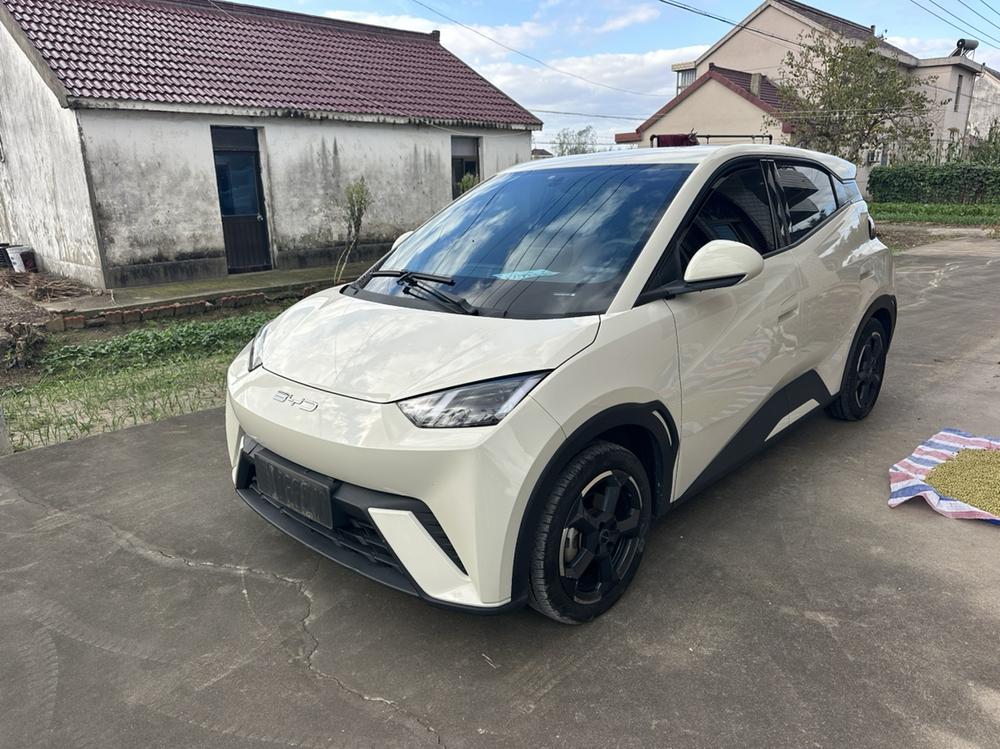 BYD Seagull