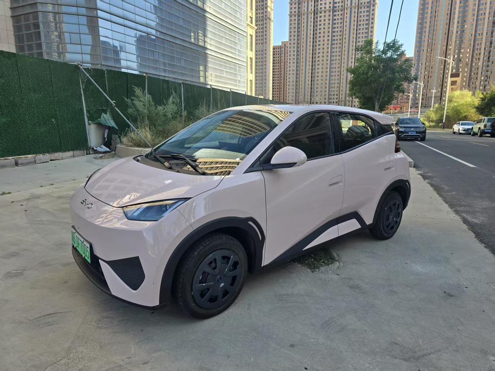 BYD Seagull
