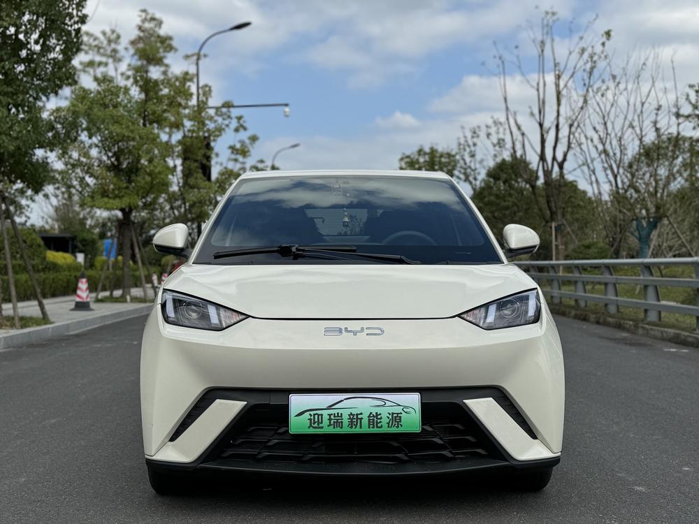 BYD Seagull