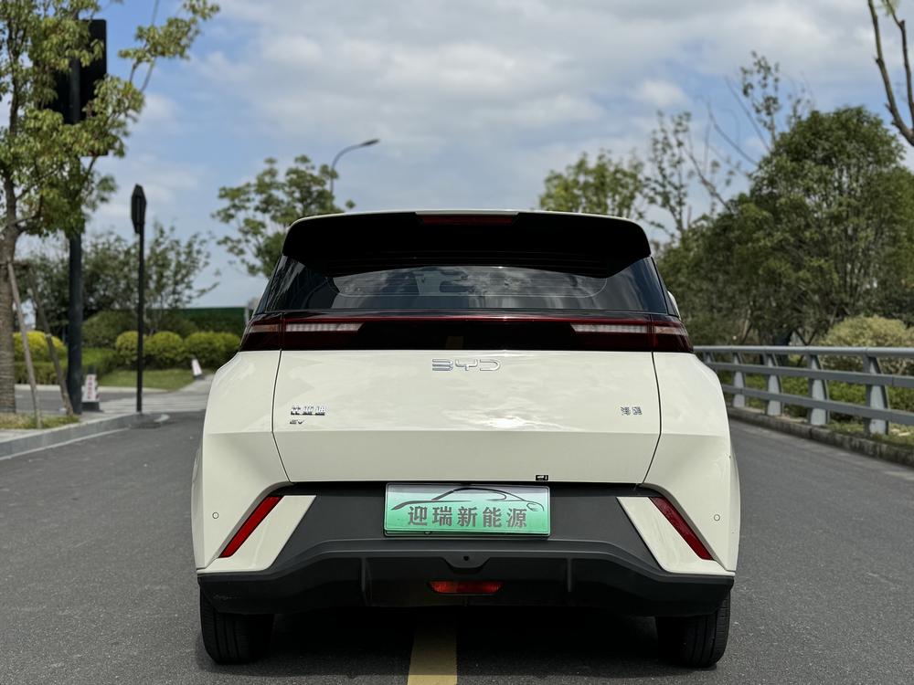 BYD Seagull