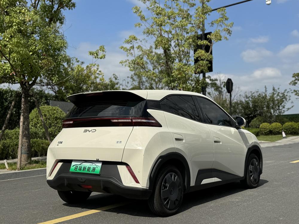 BYD Seagull