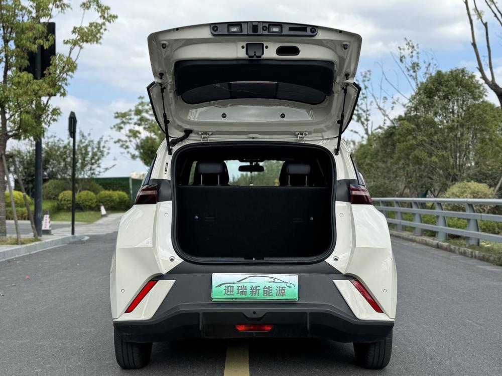 BYD Seagull