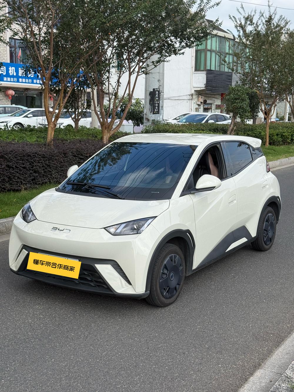 BYD Seagull